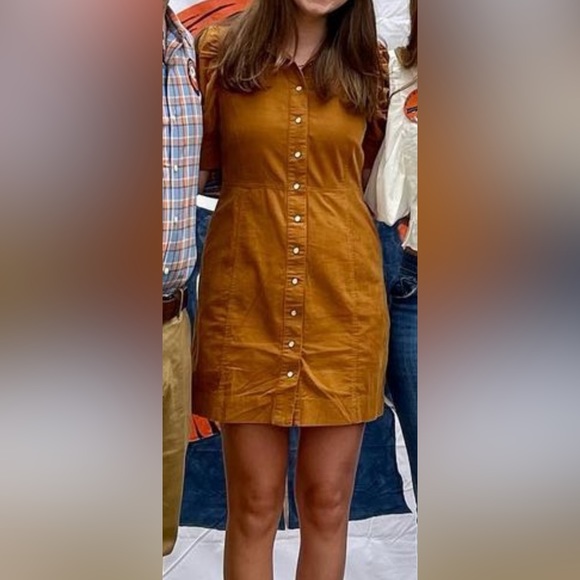 Dear John button down dress dark tan - Picture 2 of 4